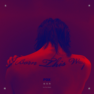 国产与亚洲成人网站
