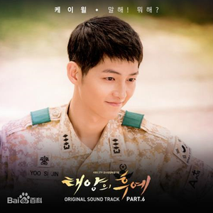 国产与亚洲成人网站
